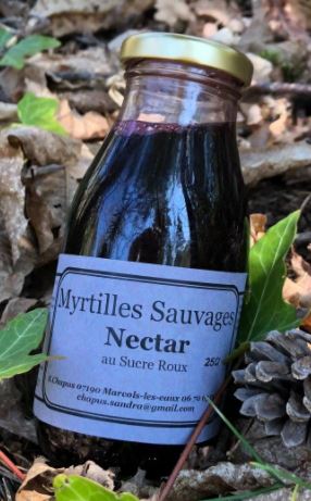 Sandra Chapus - Nectar myrtilles sauvages